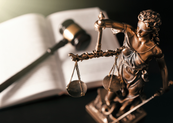 Obtained defense verdict after trial in Marin County Superior Court over a boundary dispute.