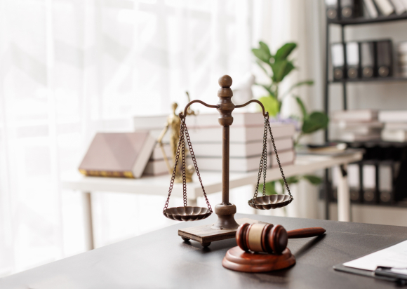 Protected homeowner rights in multiple suits against a homeowners association on governance and financial issues.